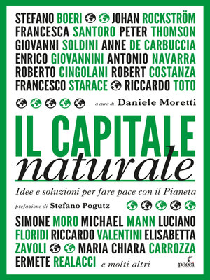 cover image of Il capitale naturale